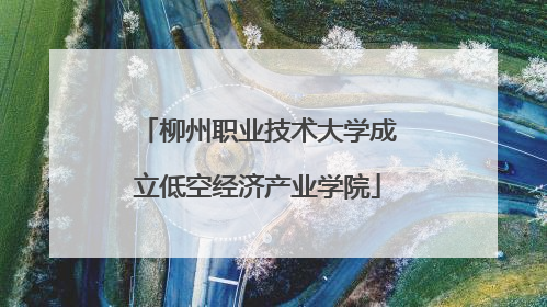 柳州职业技术大学成立低空经济产业学院
